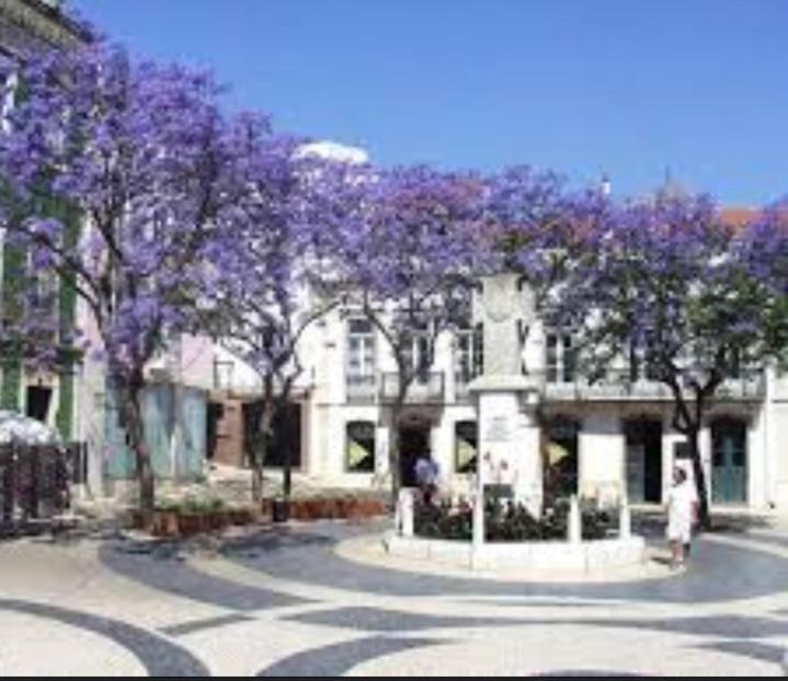 Quinta Palmeiras * Lagos
